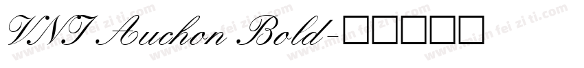 VNI Auchon Bold字体转换